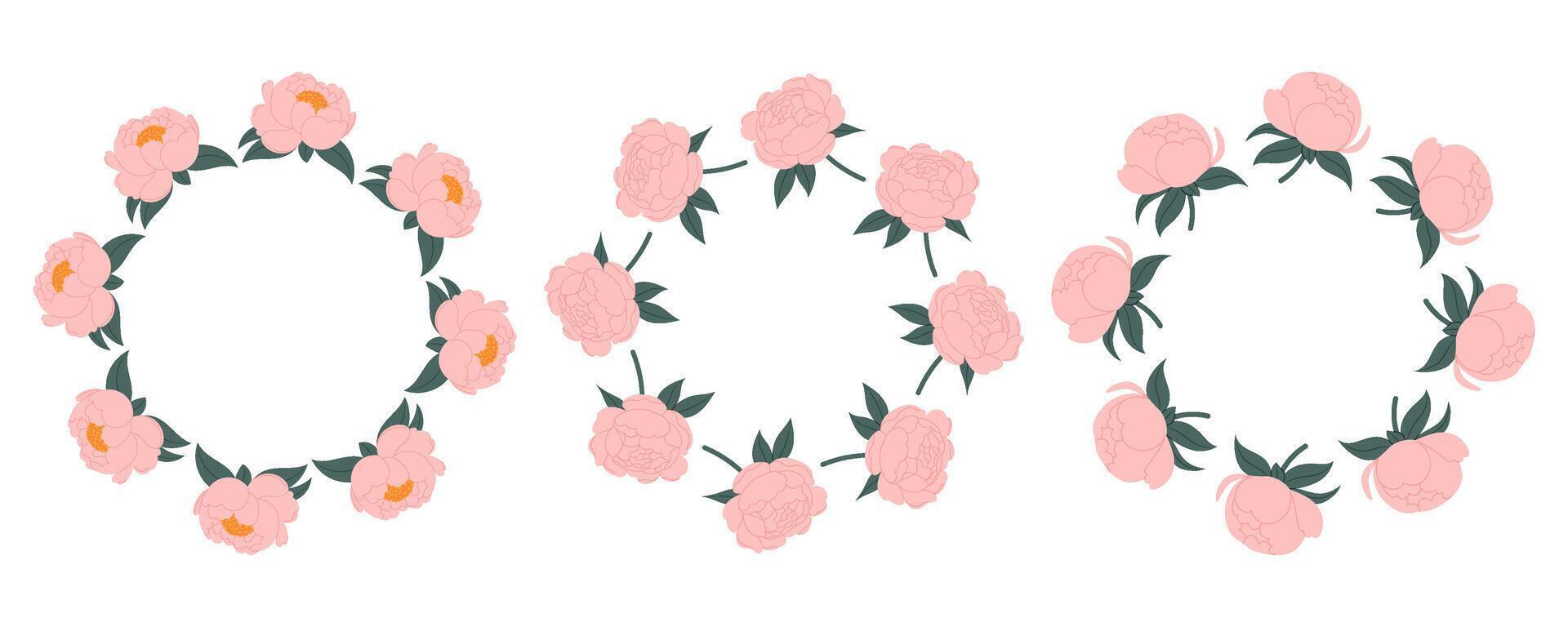 Set round peonies borders for design and decoration. Pink flower frames. For invitations, packaging, spring or summer cards. vector
