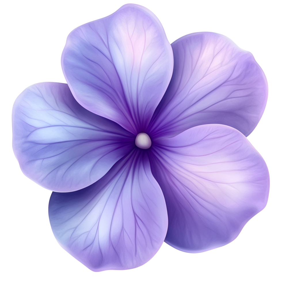 Single Purple Bloom With Natural Texture On Transparent Background png