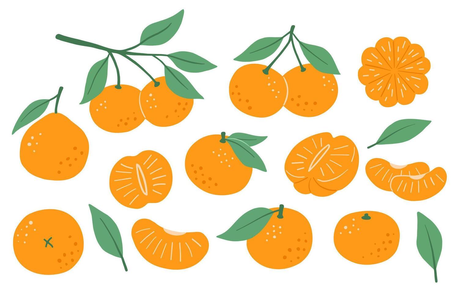 Tangerine with leaf, flat illustrations set, abstract fruit art isolated on white background vector