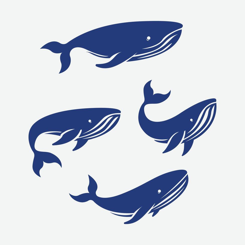 blue whale isolated set vector