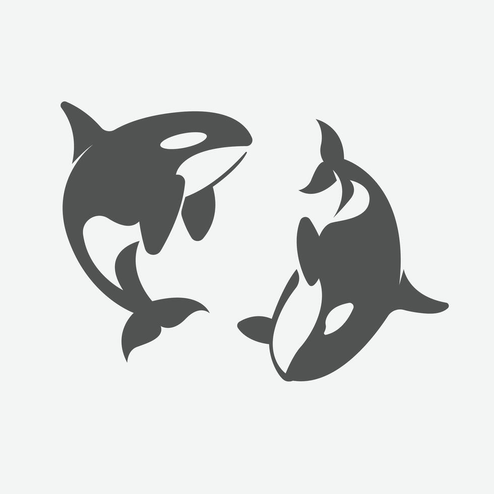 black and white Orca Whale vector