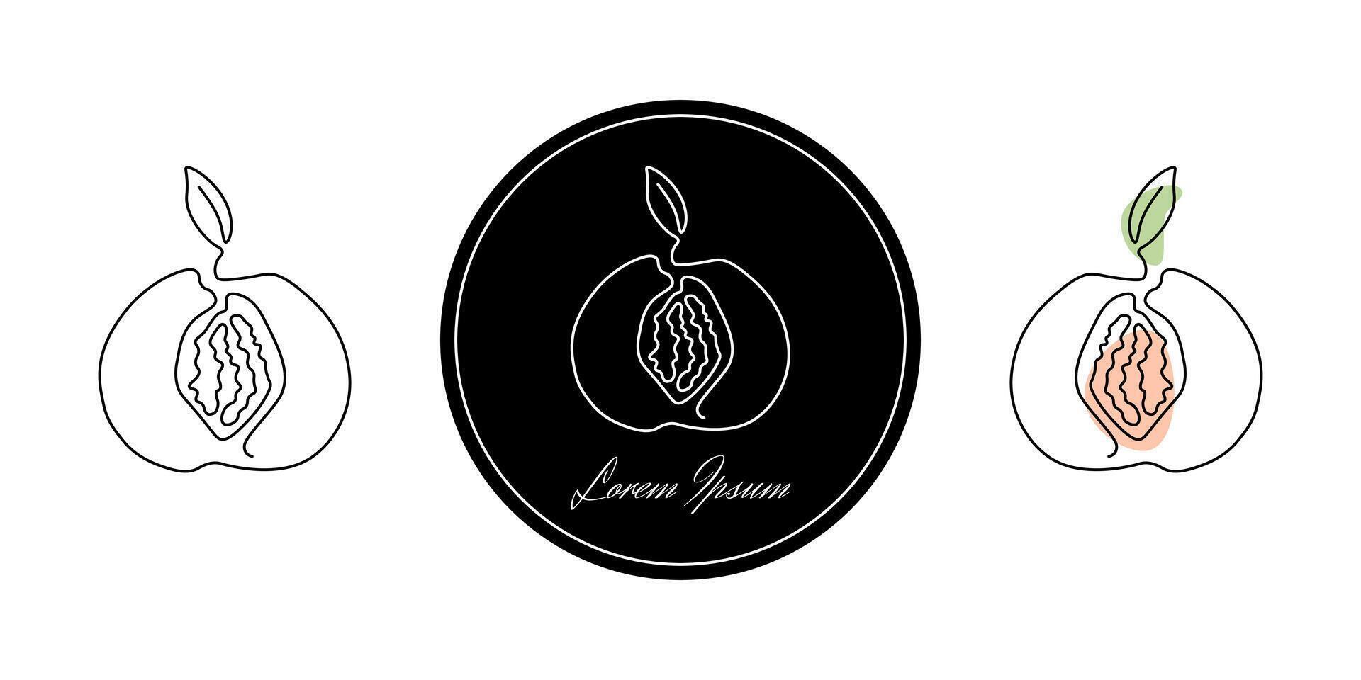 Set of minimalistic continuous line art of peach with pit with leaf for the logo in various designs. Peach in one line art style. Isolated on white background vector