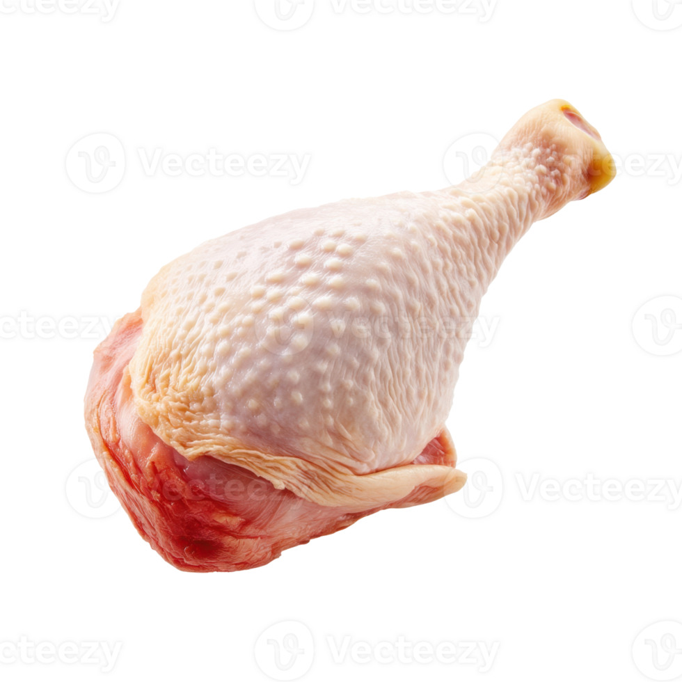 Raw Chicken Drumstick Isolated On Transparent Background png