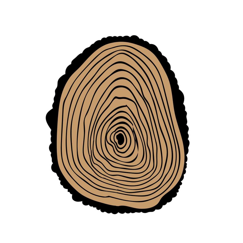 Wooden cut tree trunk isolated on white background. Tree growth rings. vector