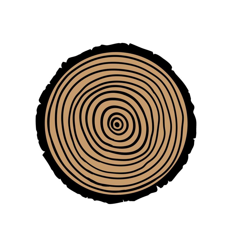 Wooden cross section isolated on white background. Tree rings. illustration. vector