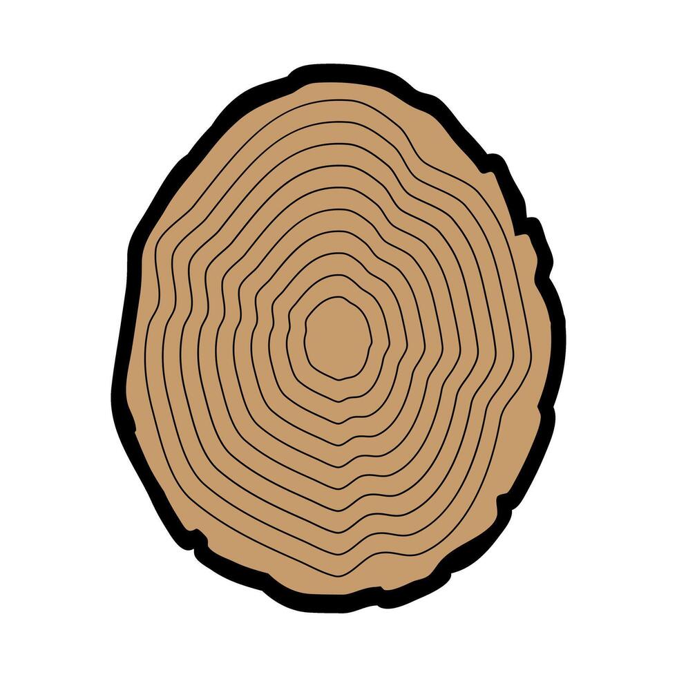 Tree rings isolated on white background. illustration for your design. vector