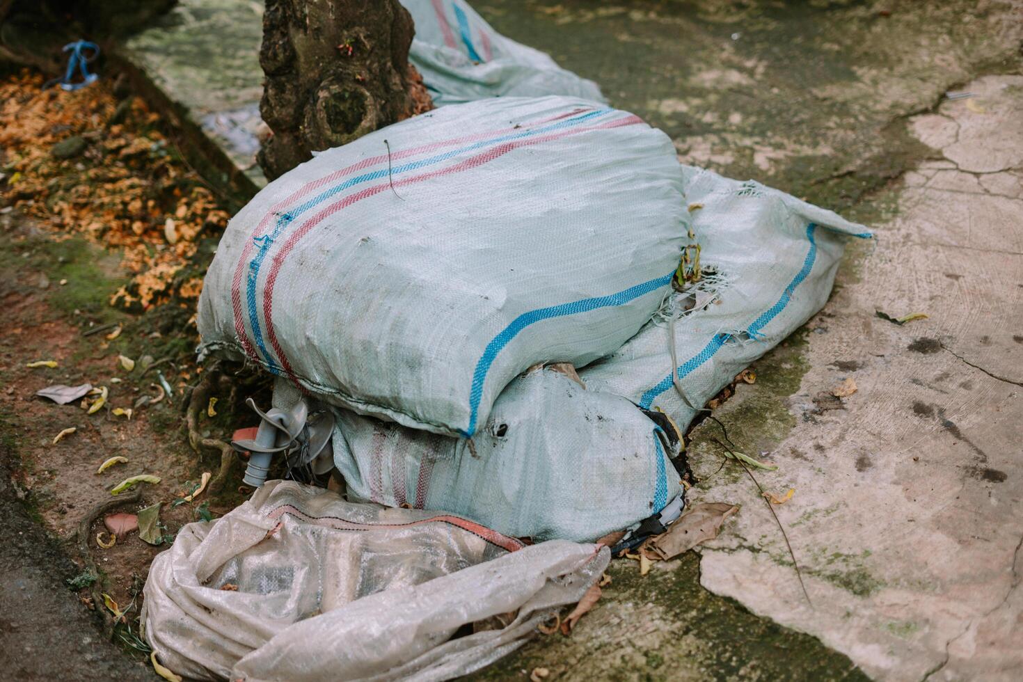 Sacks of debris and waste on the side of a road next to a tree photo