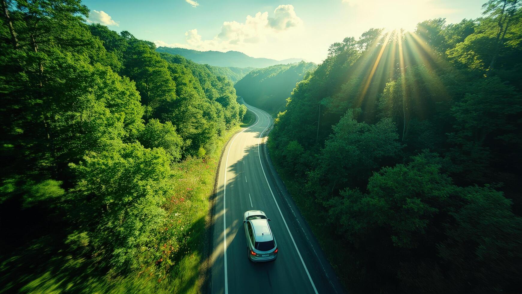 A car driving down a road in the woods photo