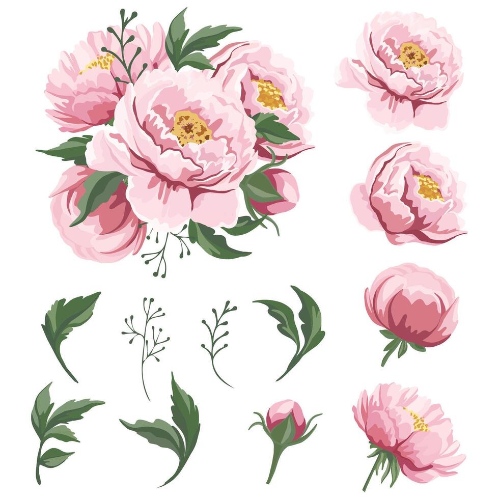 Floral composition of pink peonies and green leaves Spring floral design vector