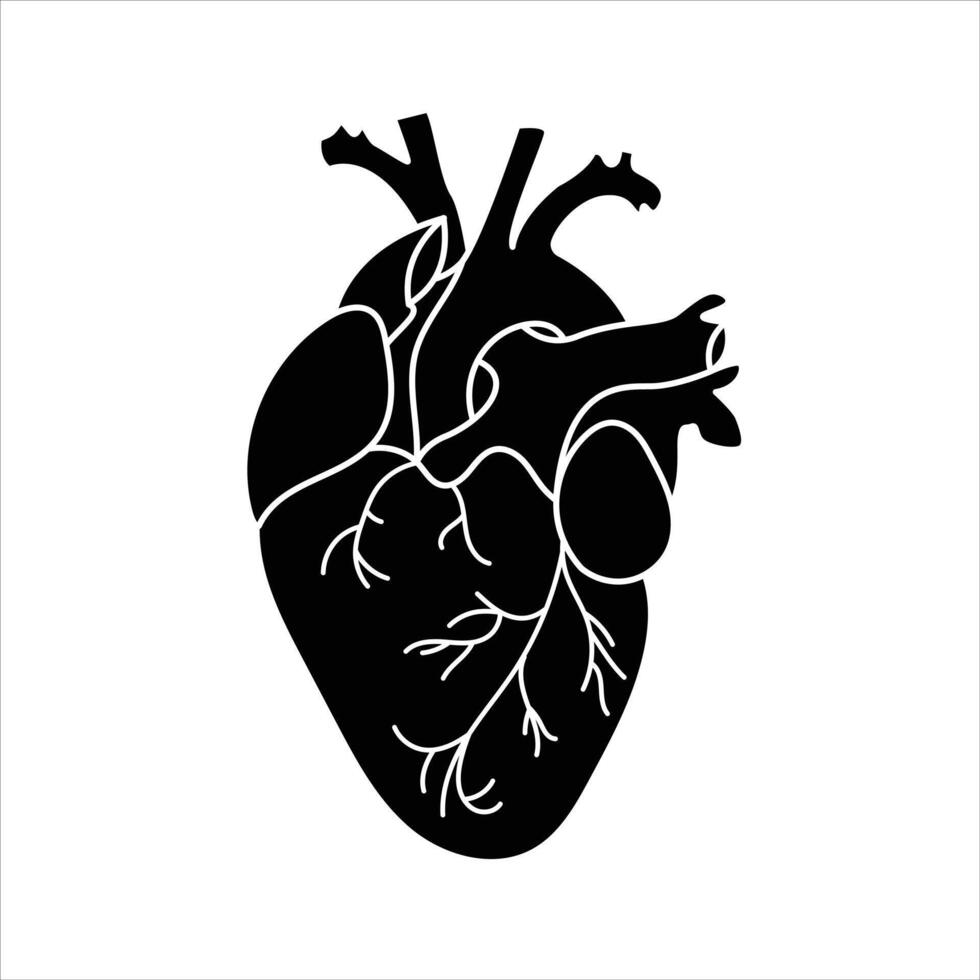 Detailed black icon of anatomical human heart shape vector