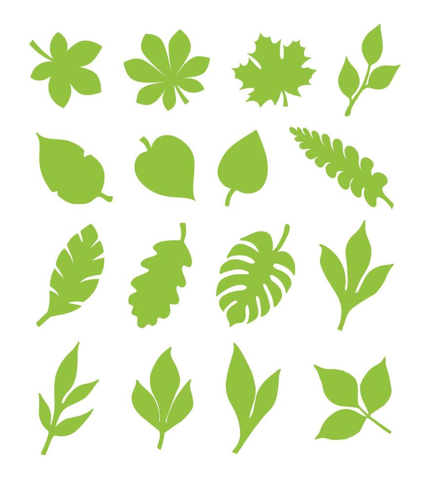 Collection of tree leaves in natural style icon format vector