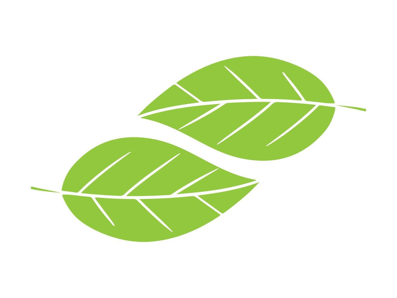 Design of two green leaves in nature vector