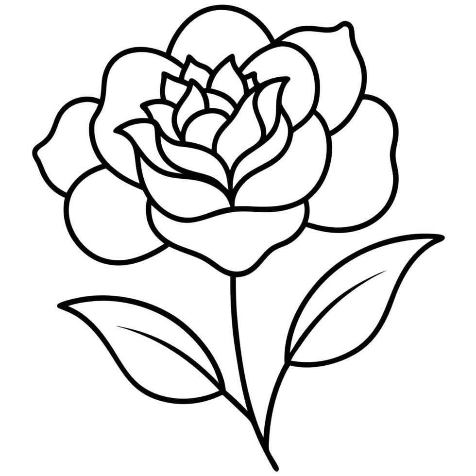 A rose flower is outlined in black and white vector