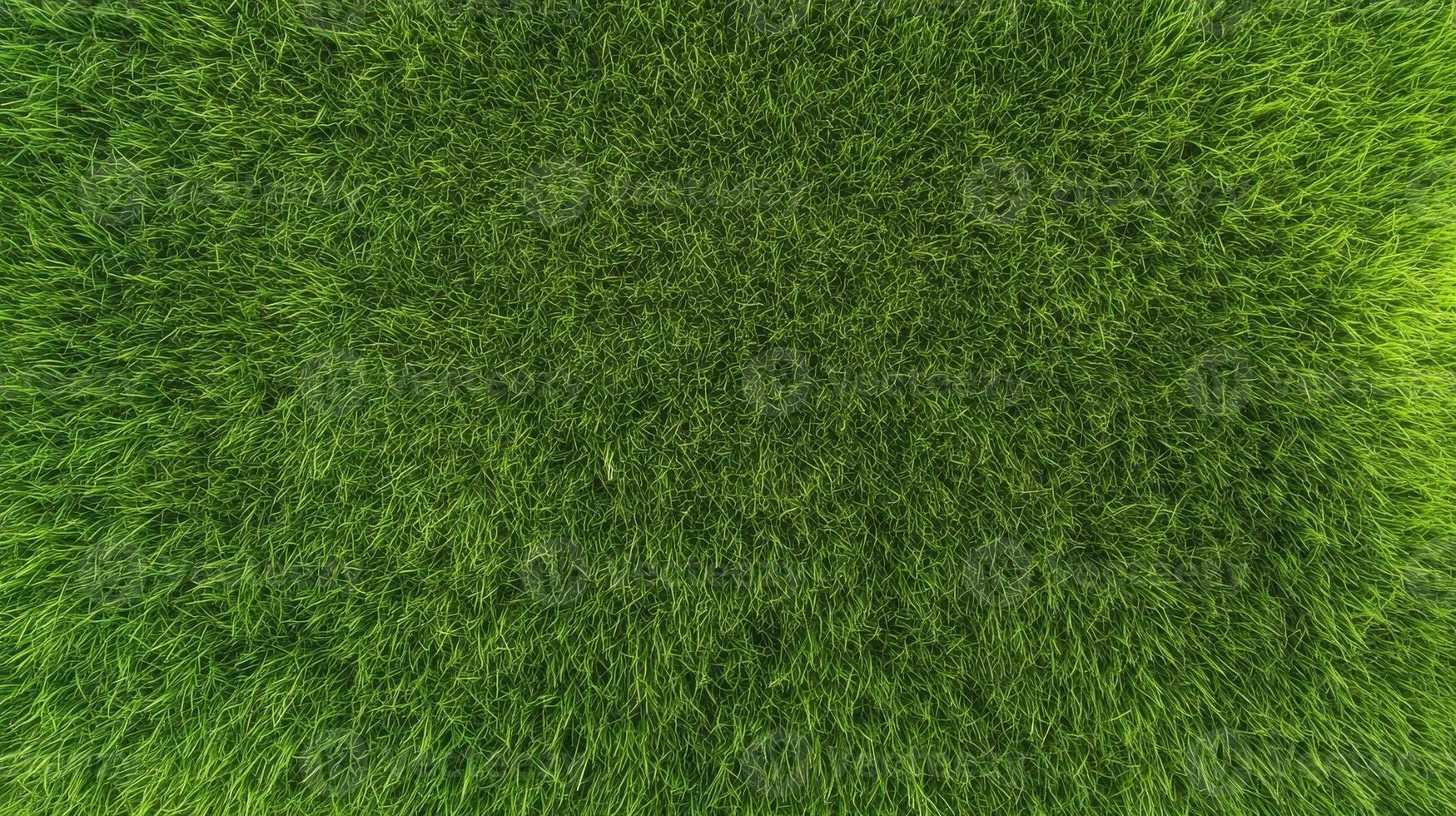 Lush green grass lawn captured in high-resolution vertical perspective photo