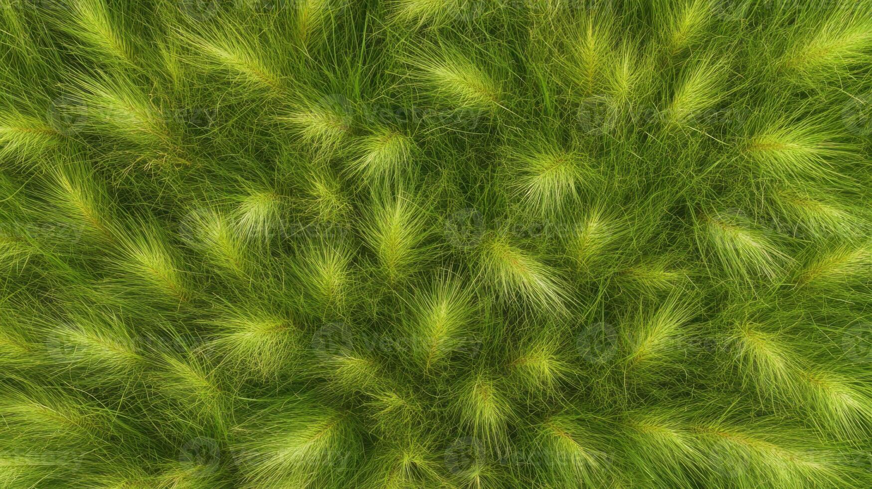 Lush green grass texture background with dense foliage concept in nature photo
