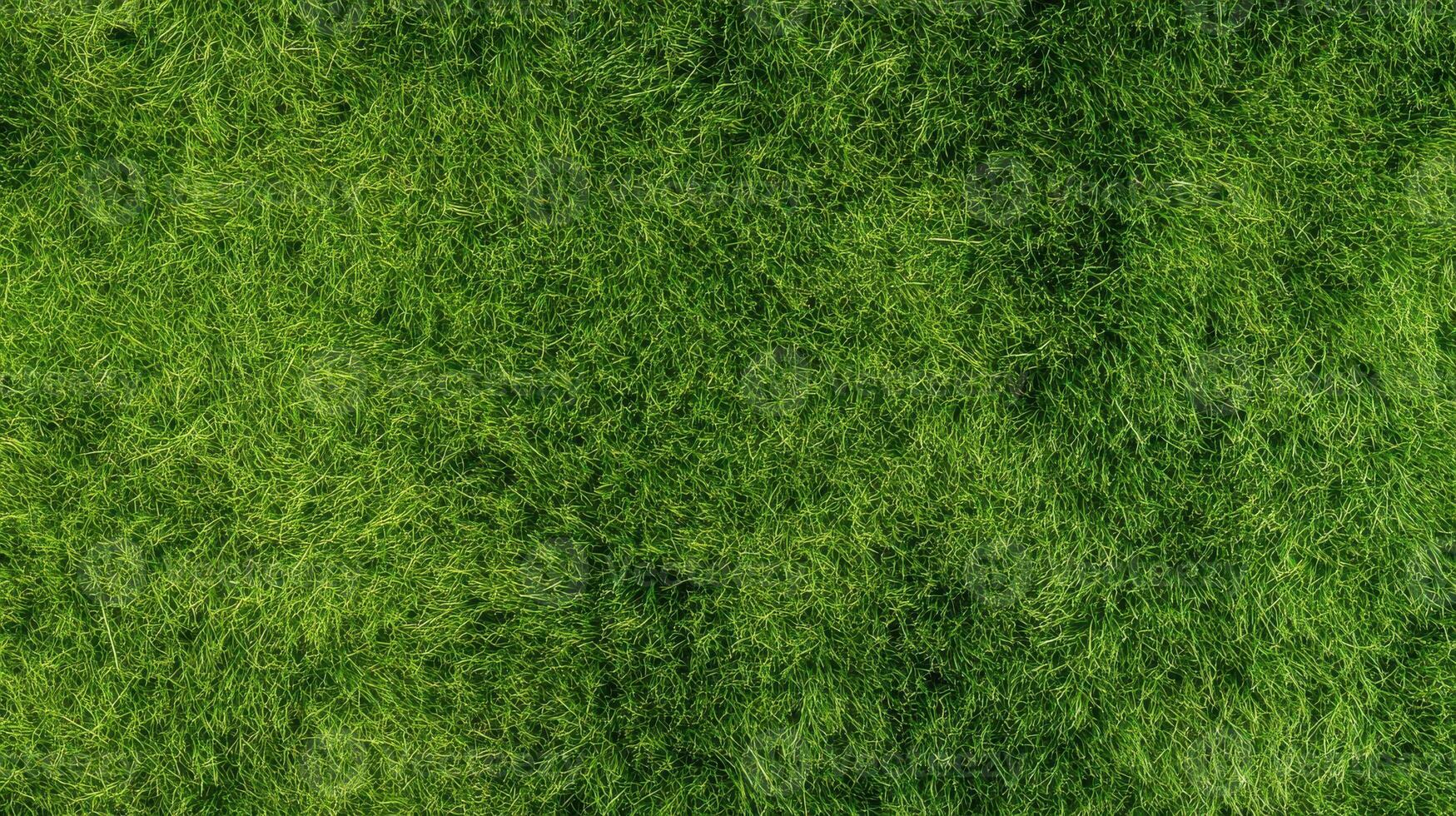 Lush green grass background with vibrant texture for nature-themed designs photo