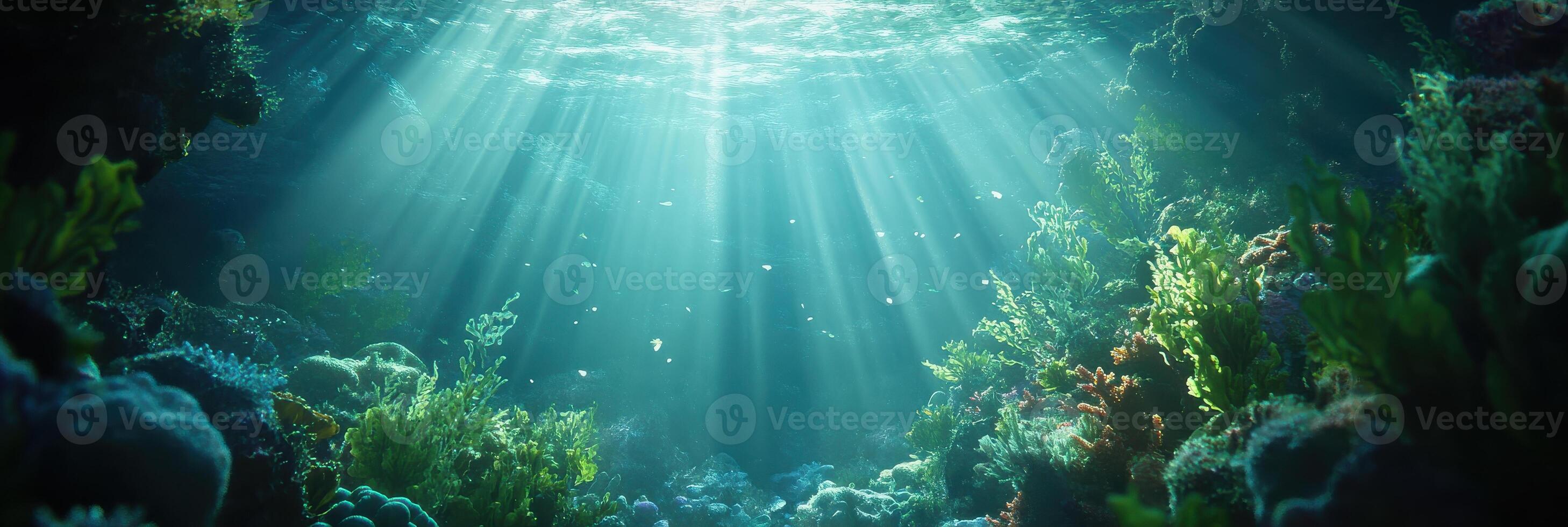 Sunlight streaming through ocean water illuminating vibrant coral reef ecosystem photo