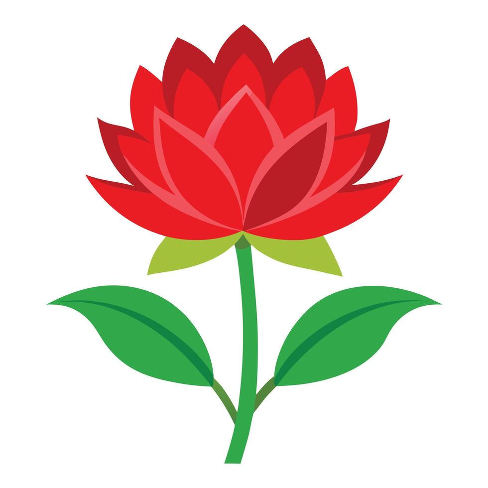 A red lotus flower with green leaves vector