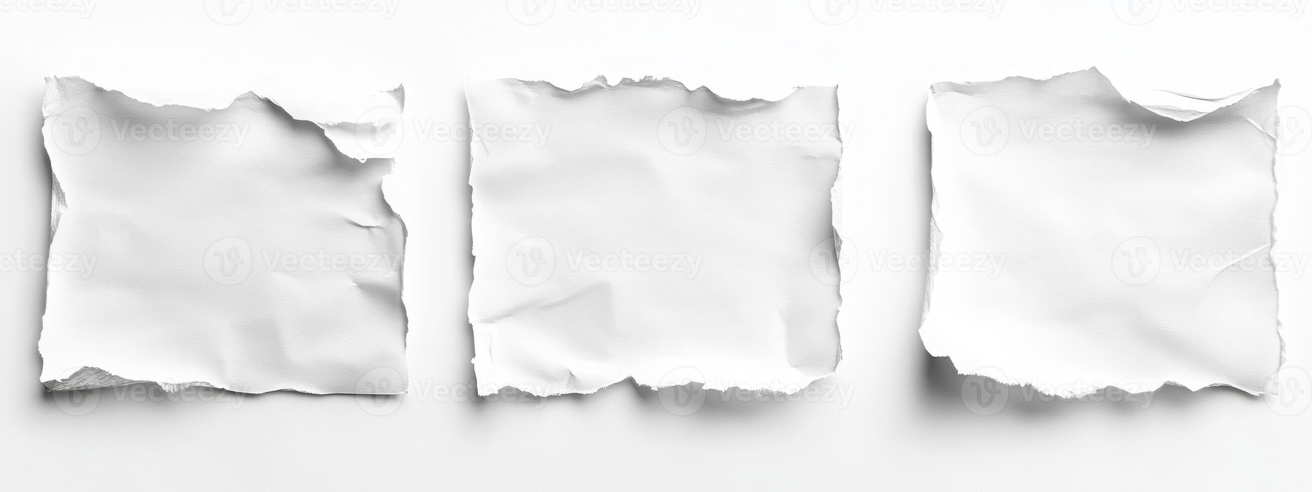 white paper torn pieces, each piece is isolated on its own with the ragged edges. photo