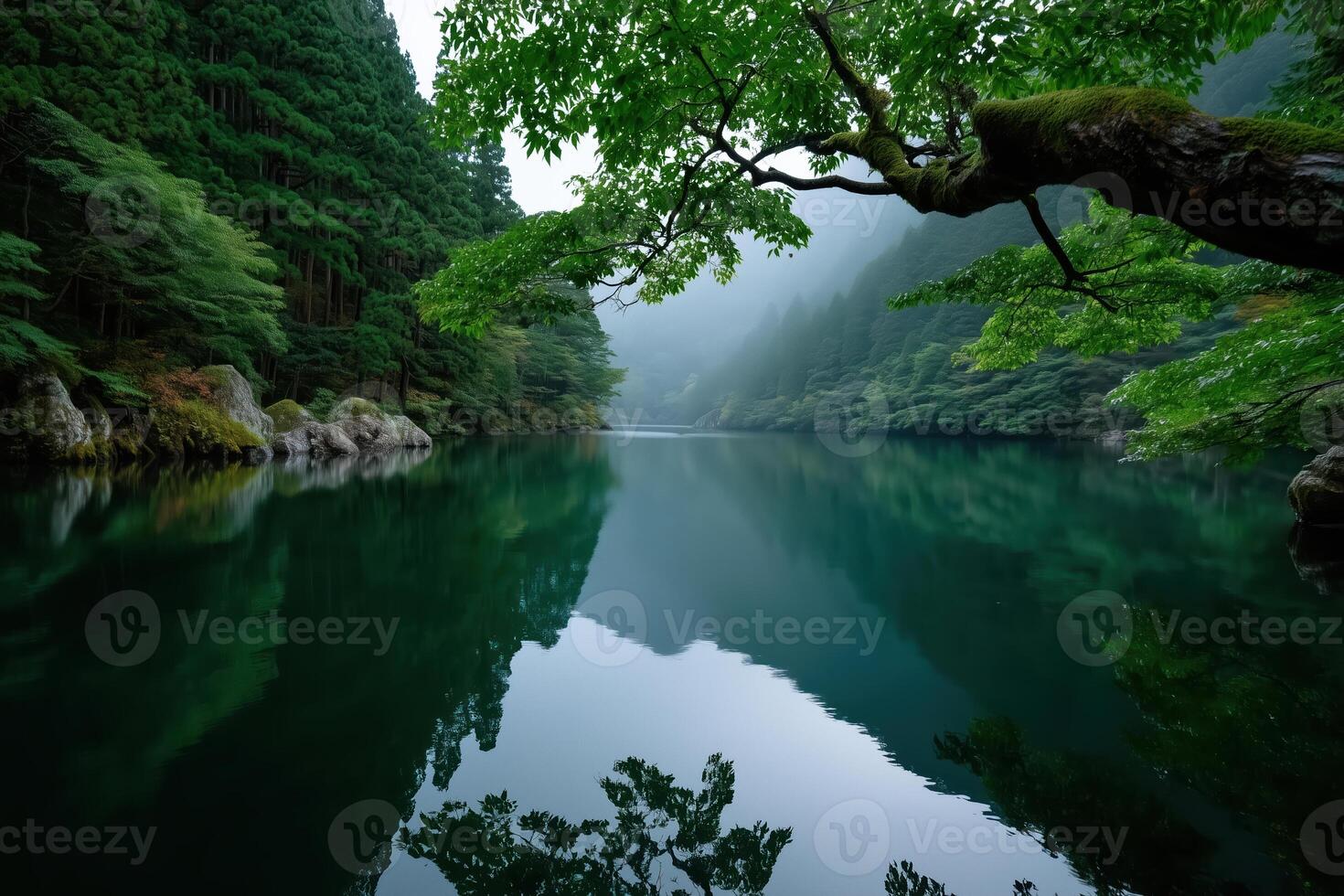 Beautiful wild landscape with lake and mountains in the fog photo