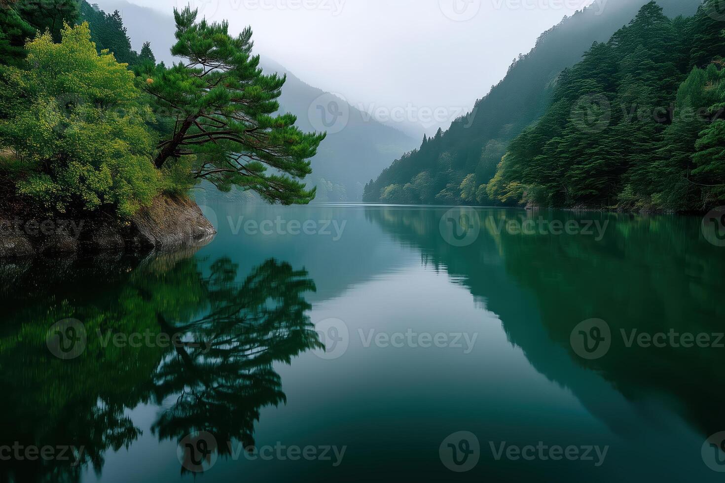 wooded mountain valley with calm river or lake photo