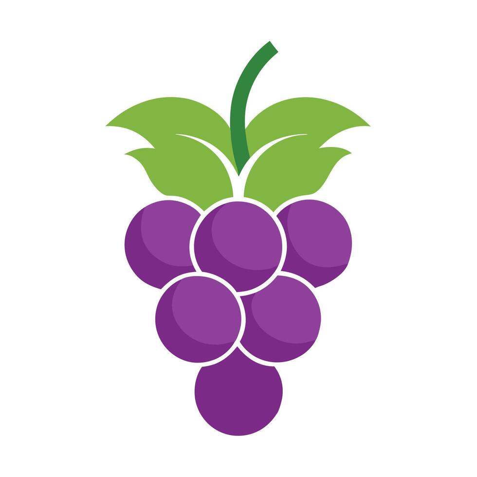 Grapes icon illustration vector