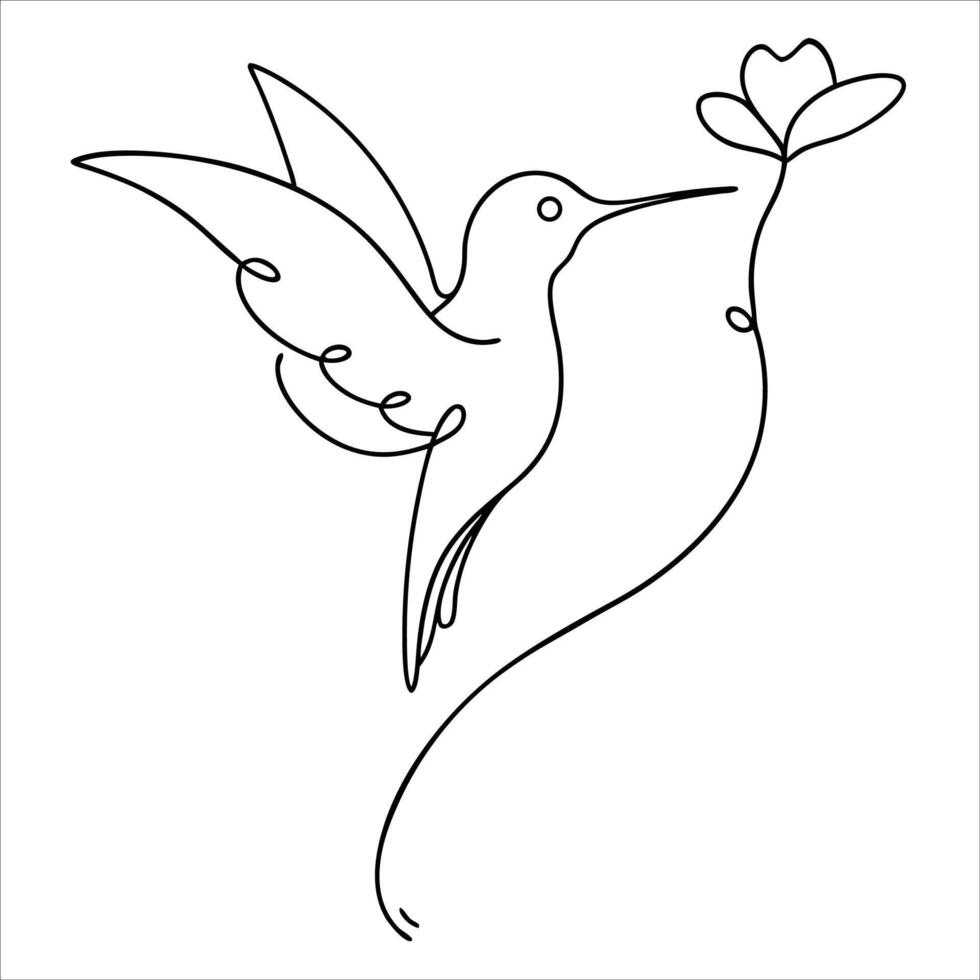 Hummingbird with flower coloring page vector
