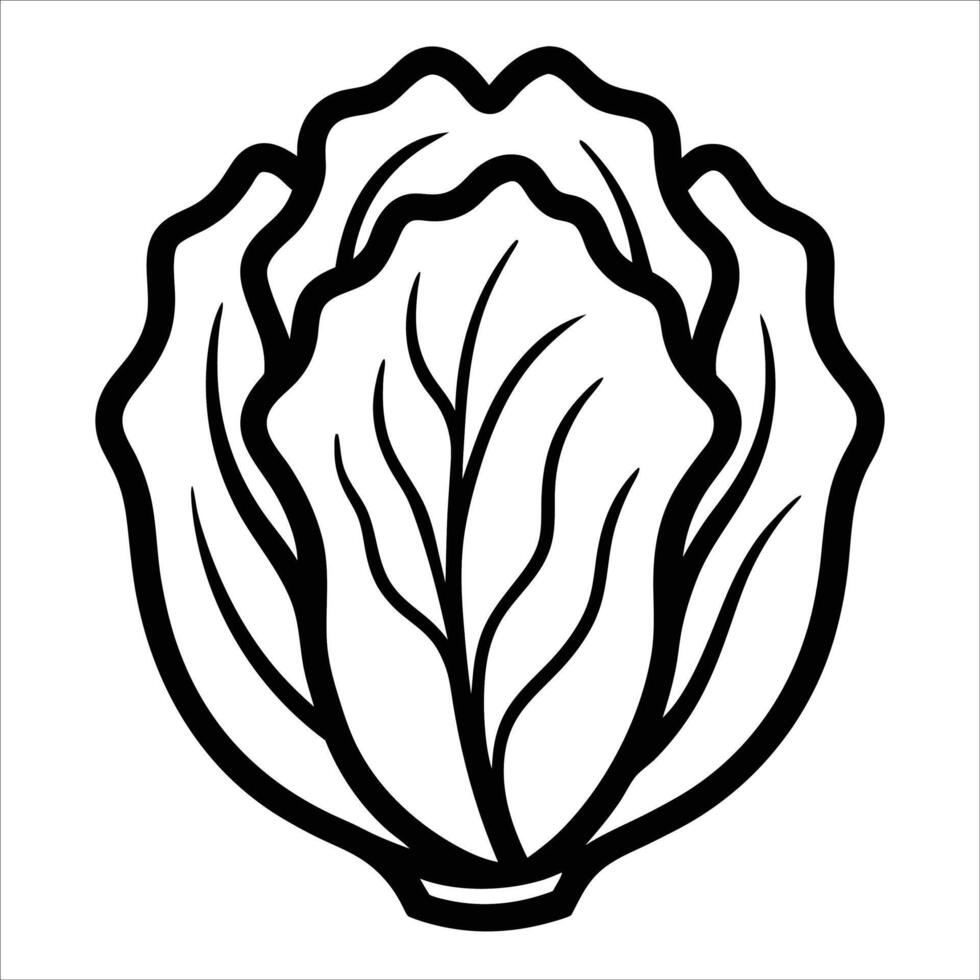 Minimalist Chinese cabbage in elegant continuous line drawing style perfect for vegetarian food themes kitchen prints or healthy lifestyle related illustrations vector