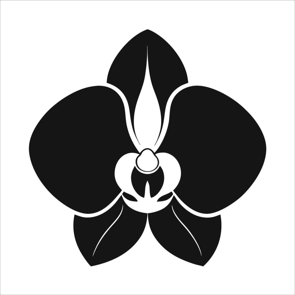 Phalaenopsis orchid flower illustrated in delicate continuous one line art style emphasizing natural beauty and floral elegance for botanical art and designs vector