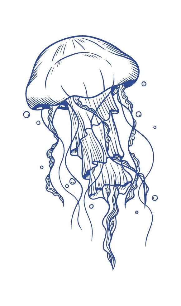Elegant blue line art illustration of a solitary jellyfish with flowing tentacles vector