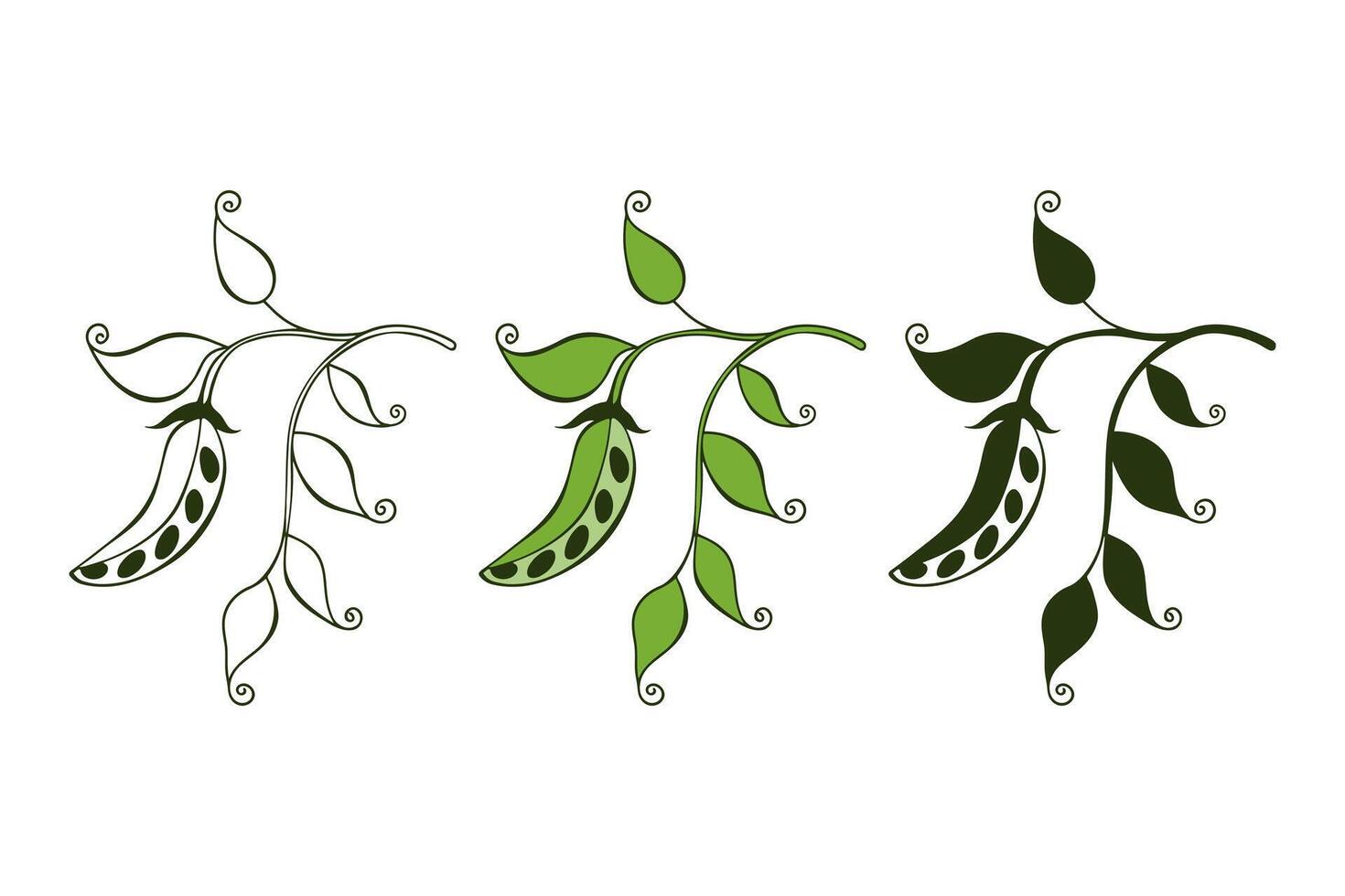 Microgreens. Set of icons green pea branch with pod and leaves, outline drawing, silhouette and color sketch. Design element for vegetarianism, healthy eating, microgreens, green vegetable vector