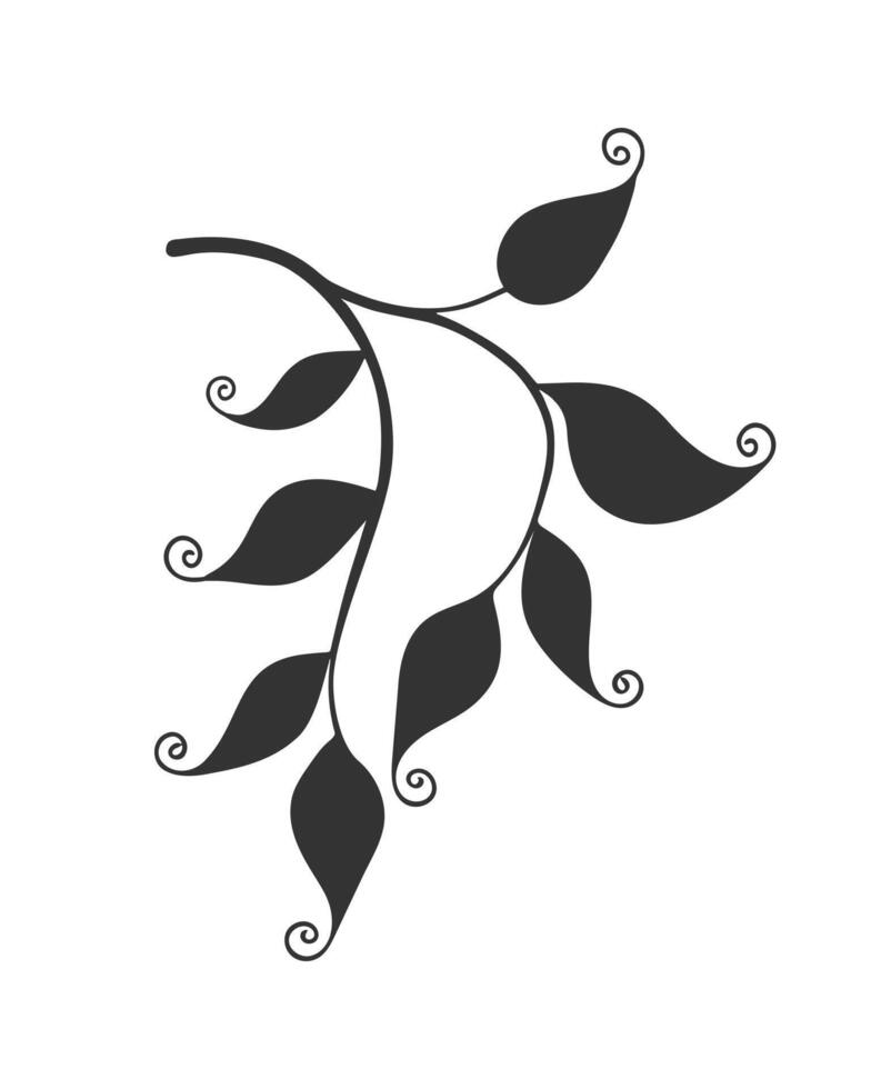 Lace leaves on branch, beautiful lace leaves with curls. Beauty in nature. Curved leaf. Silhouette, icon, logo. vector