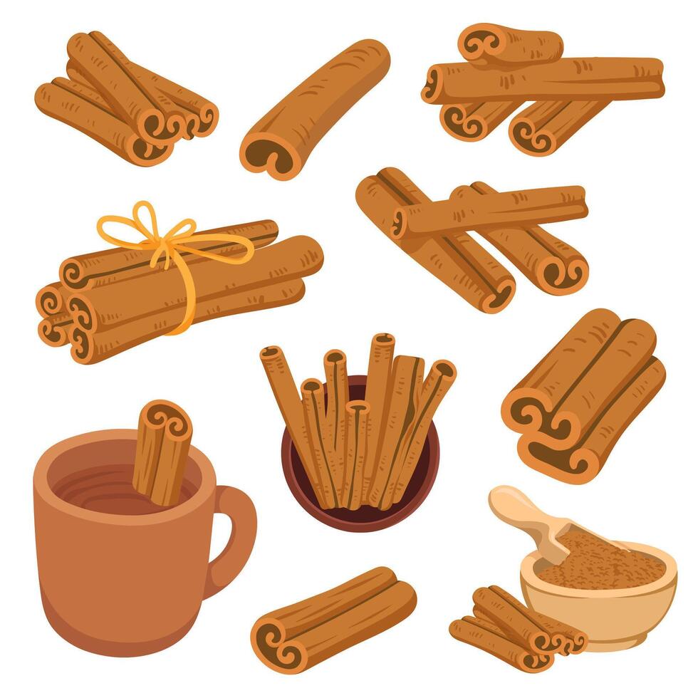 Flat Illustration Cinnamon Slices and Drink vector