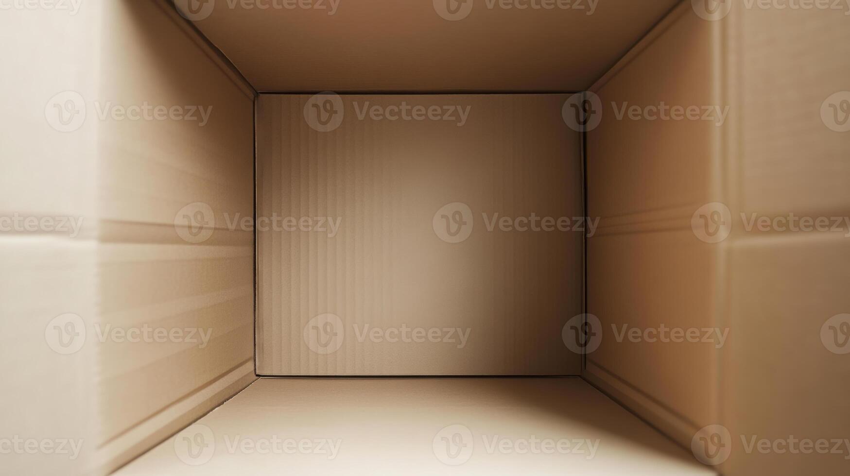 Inside view of a large empty brown cardboard box, looking like a small room photo