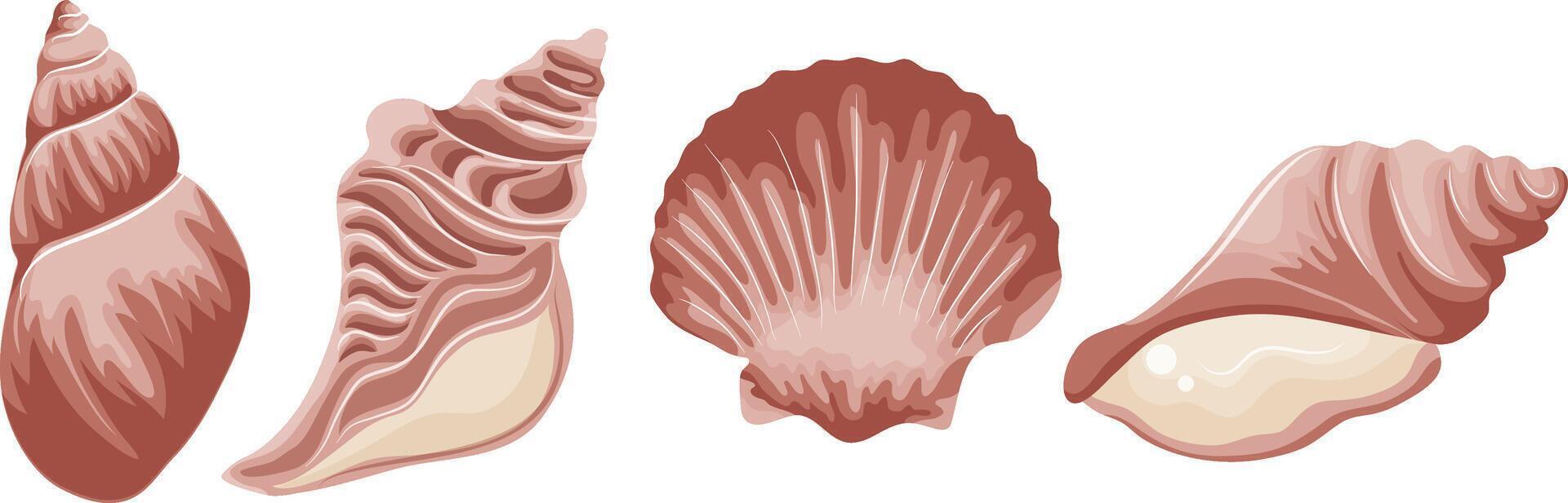 set of various pink icons of seashells, clams, shells and seashells, for various summer or marine designs vector