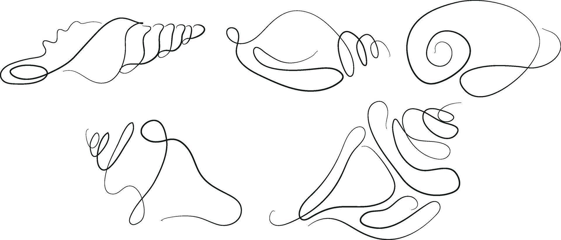 set of icons of various shells, mollusks and shells drawn with several lines in line art style, for various marine designs and company logos vector
