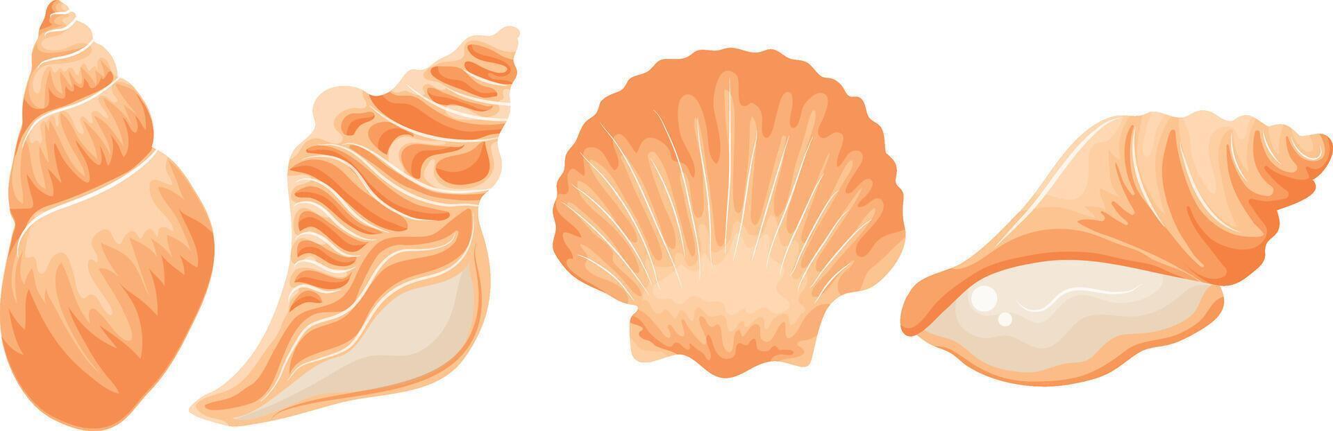 set of various yellow icons of seashells, clams, shells and seashells, for various summer or marine designs vector