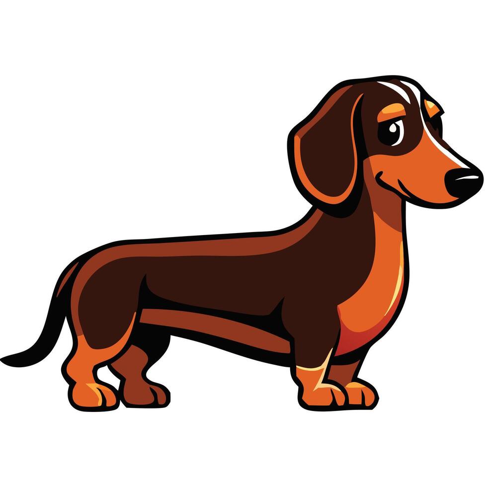 The cheerful dachshund with short legs and sleek fur stands attentively, a cartoonstyle depiction vector