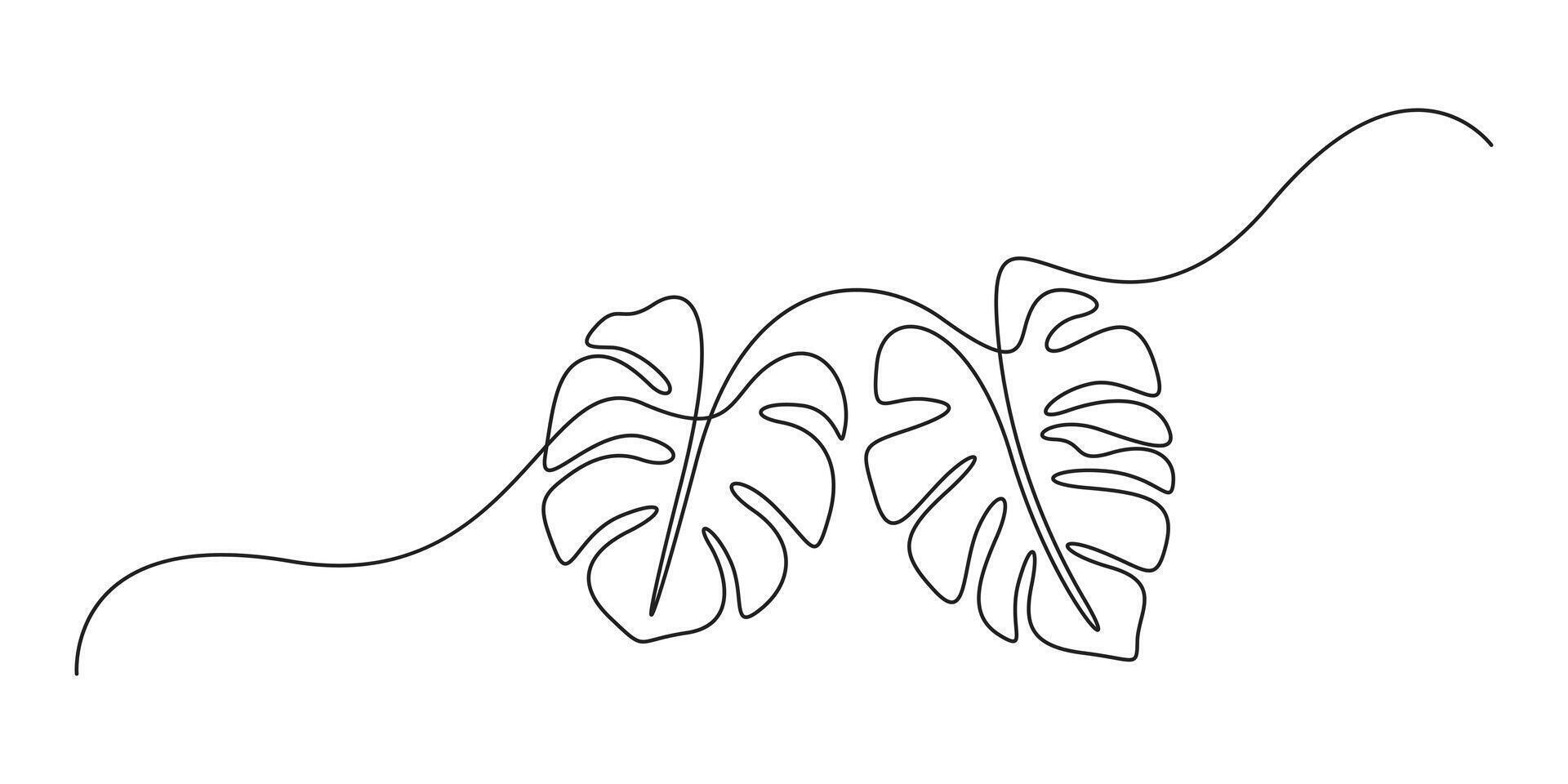 Simplicity monstera leaf freehand continuous one line drawing vector