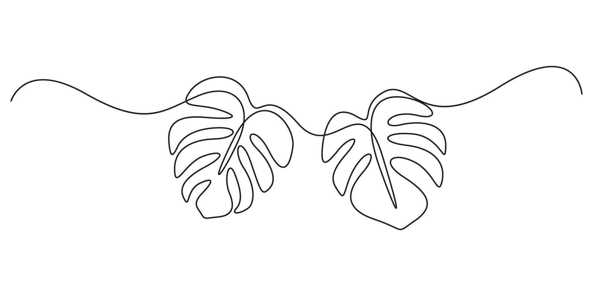 Continuous line drawing of Monstera leaf white background graphic illustration vector