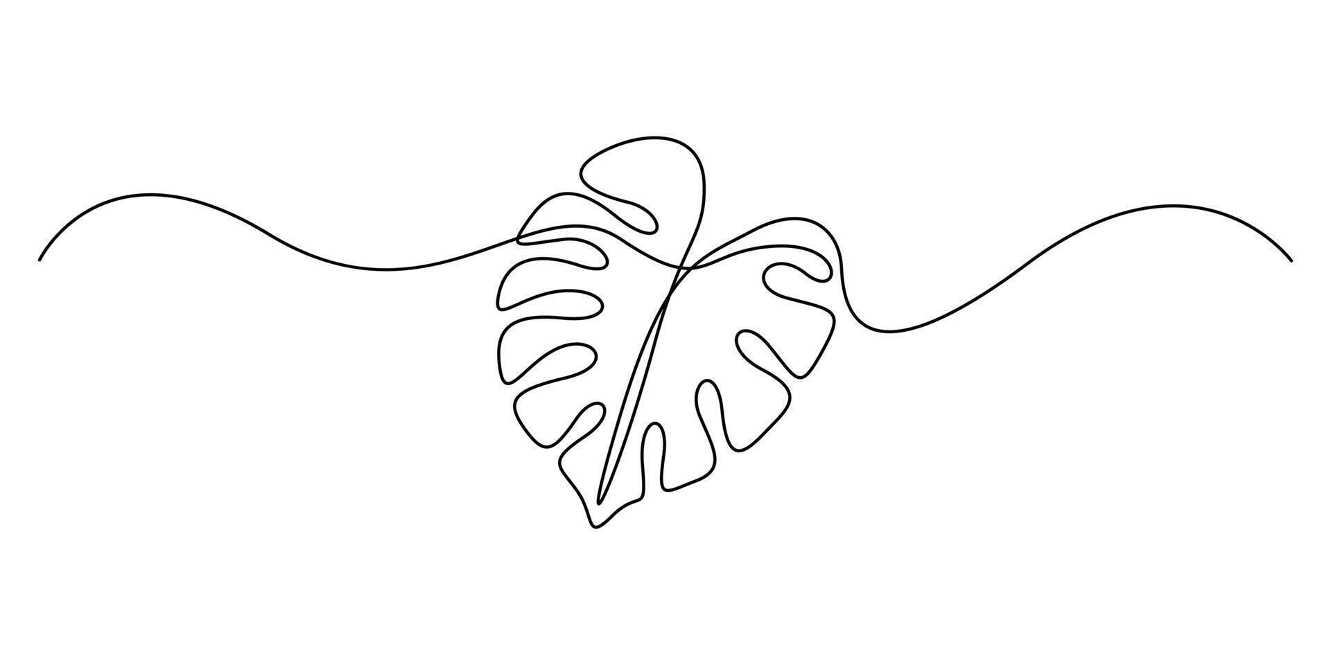 Continuous line drawing of a Monstera isolated on white background, Leaf monstera single line art drawing of outline illustration, Monstera or swiss cheese plant leaf graphic illustration vector