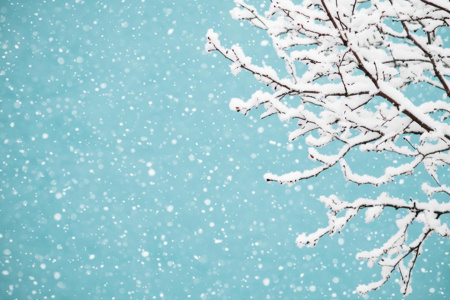 Winter Wonderland Snowy Branches Against a Light Blue Sky photo