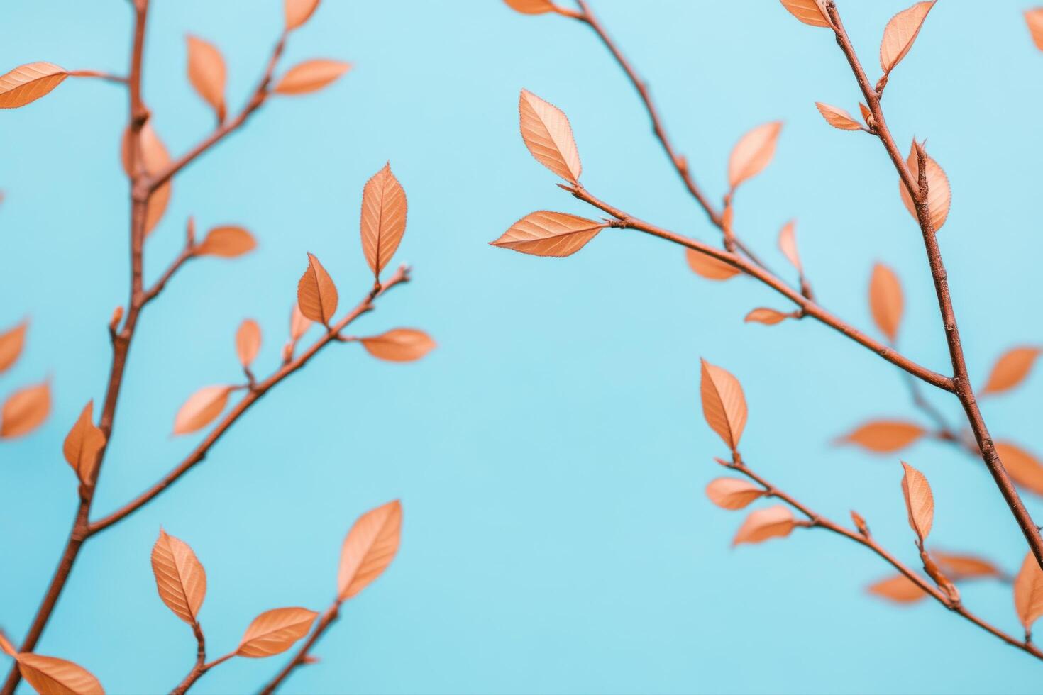 Delicate Branches with Warm Autumnal Leaves, a Pastel Aesthetic photo