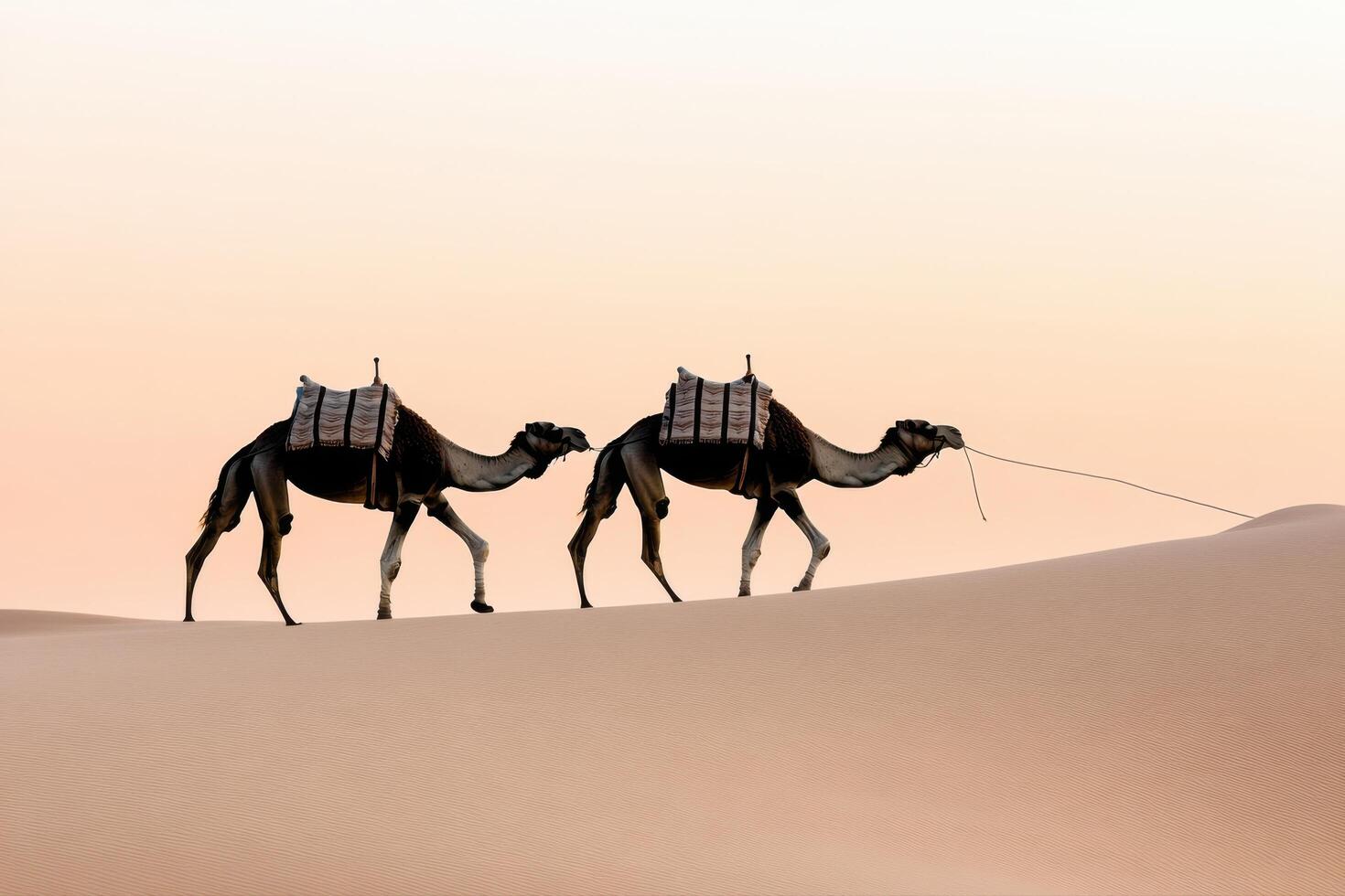 Desert Camel Caravan Journey A Timeless Adventure Through Sands photo