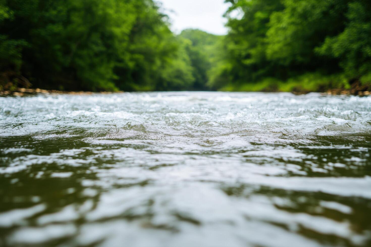 Serene River Flowing Through Lush Forest A Tranquil Nature Scene photo
