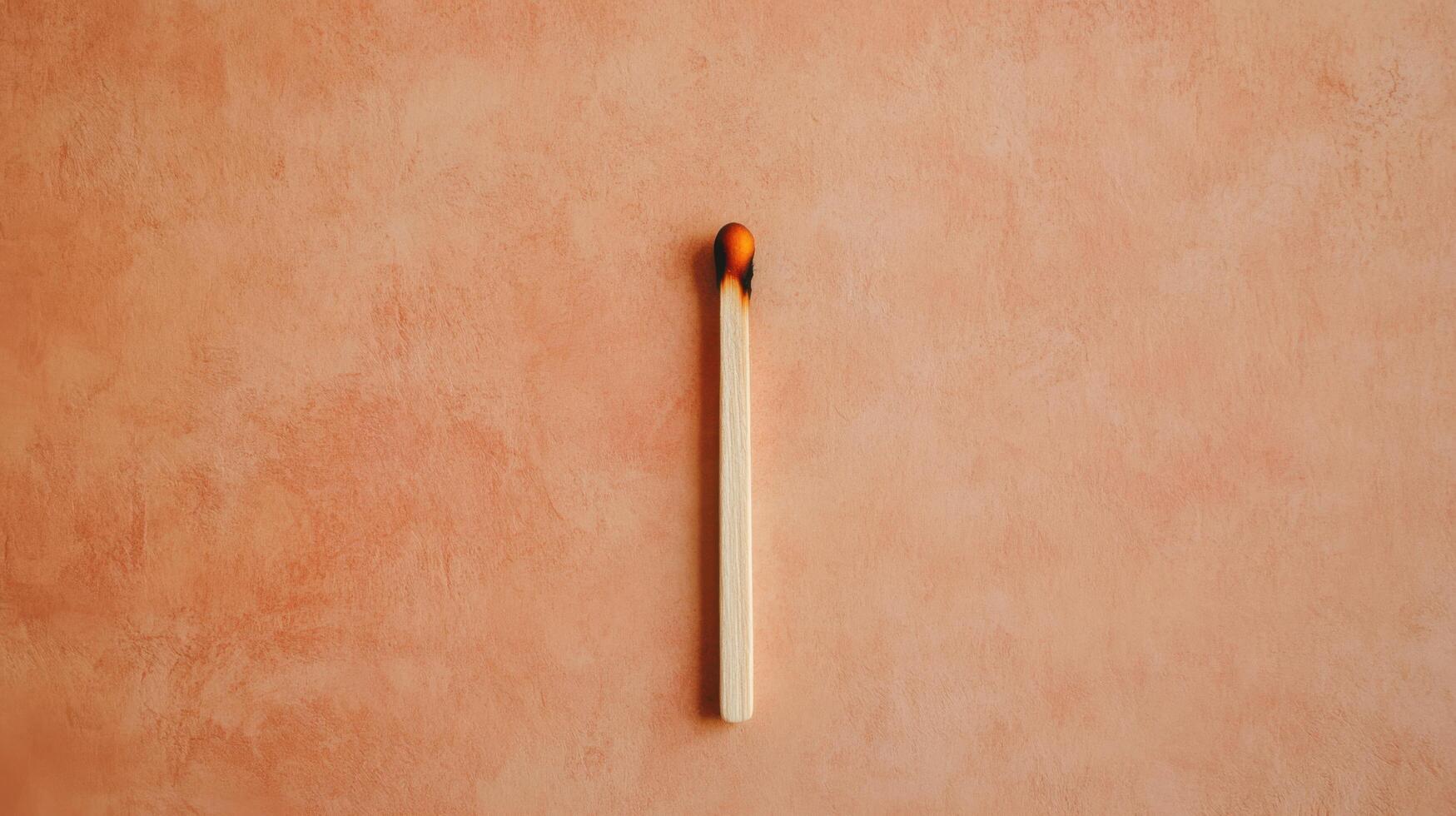 Burnt Match A Minimalist Still Life photo
