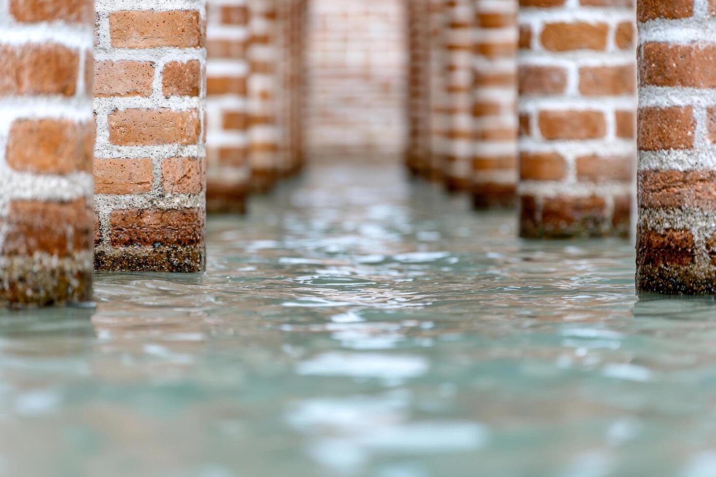 Flooded Venetian Columns A Glimpse into History's Depth photo