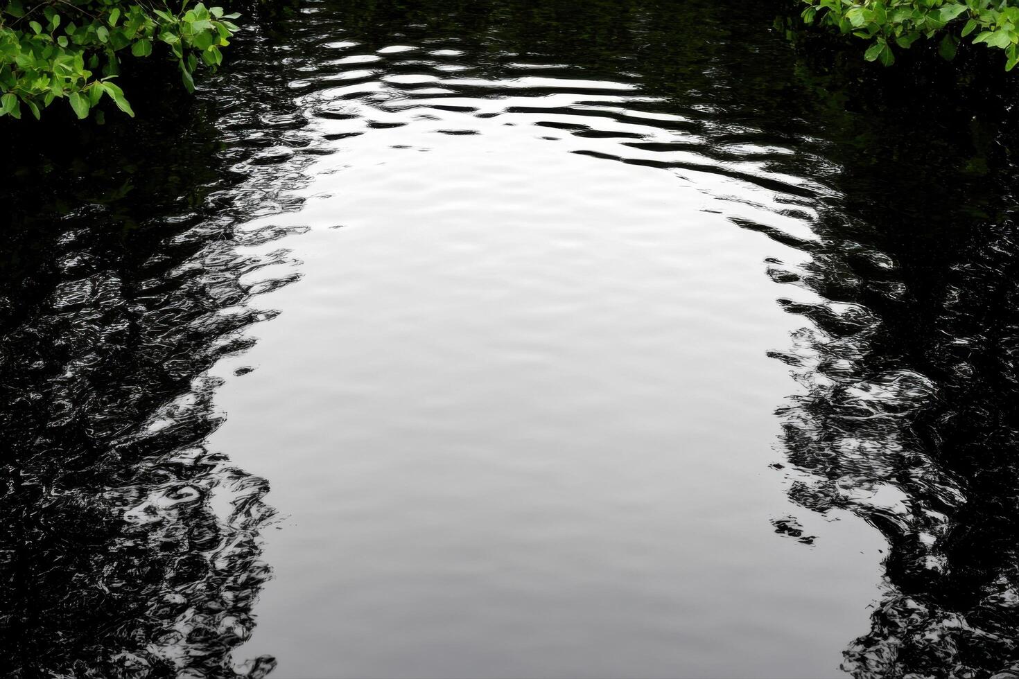 Serene Water Reflections of a Forest Landscape photo