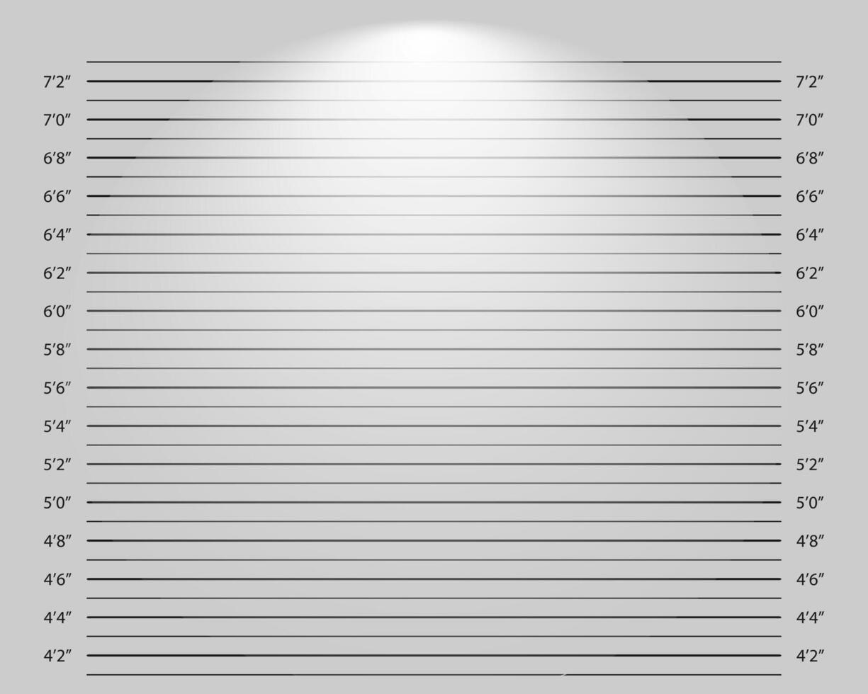 Line up mugshot background with lighting effect. Police height chart for photoshoot of wanted, arrested or suspected person identification. Crimanal profile template. graphic illustration vector