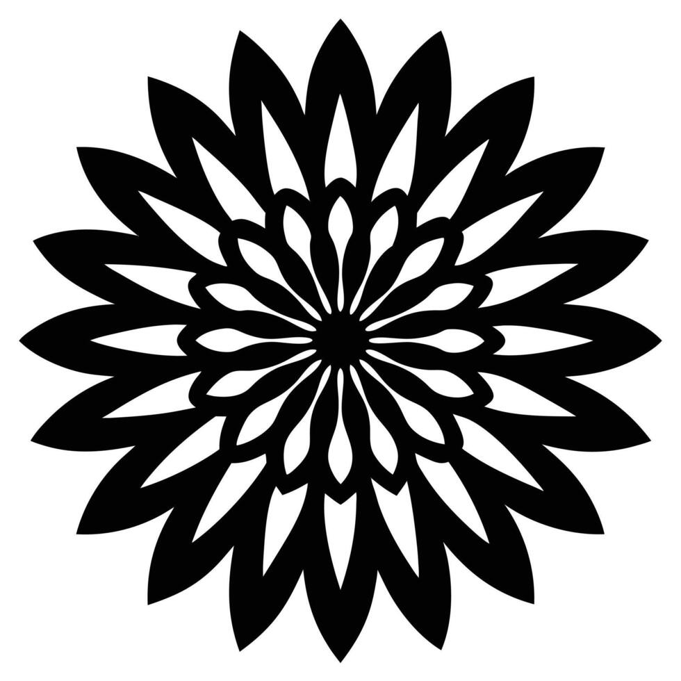 a chrysanthemum flower vector